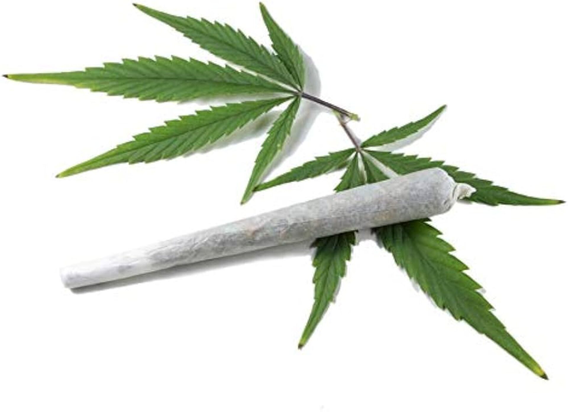 dubai cannabis shop